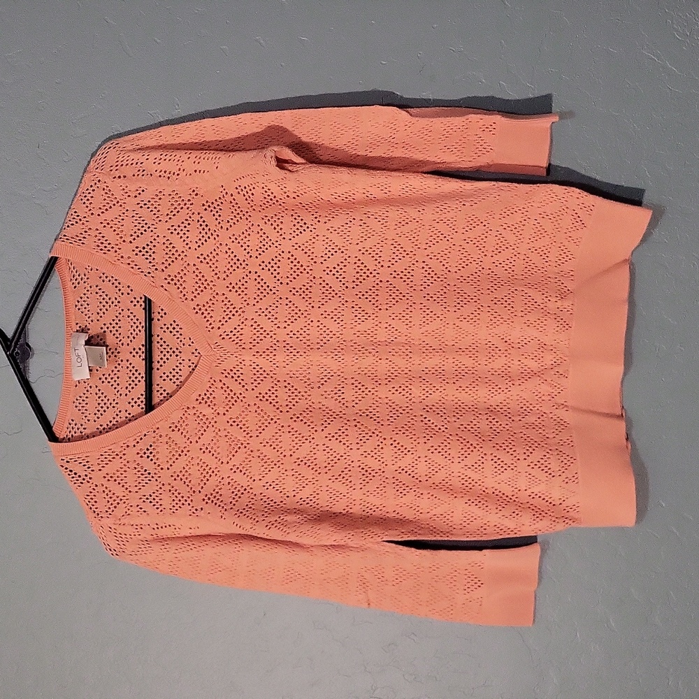 Ann Taylor Loft sweater